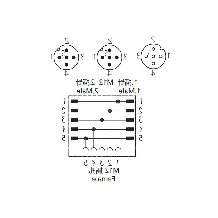 M12 5Pin母/2M12 5Pin公，y型连接器，644456